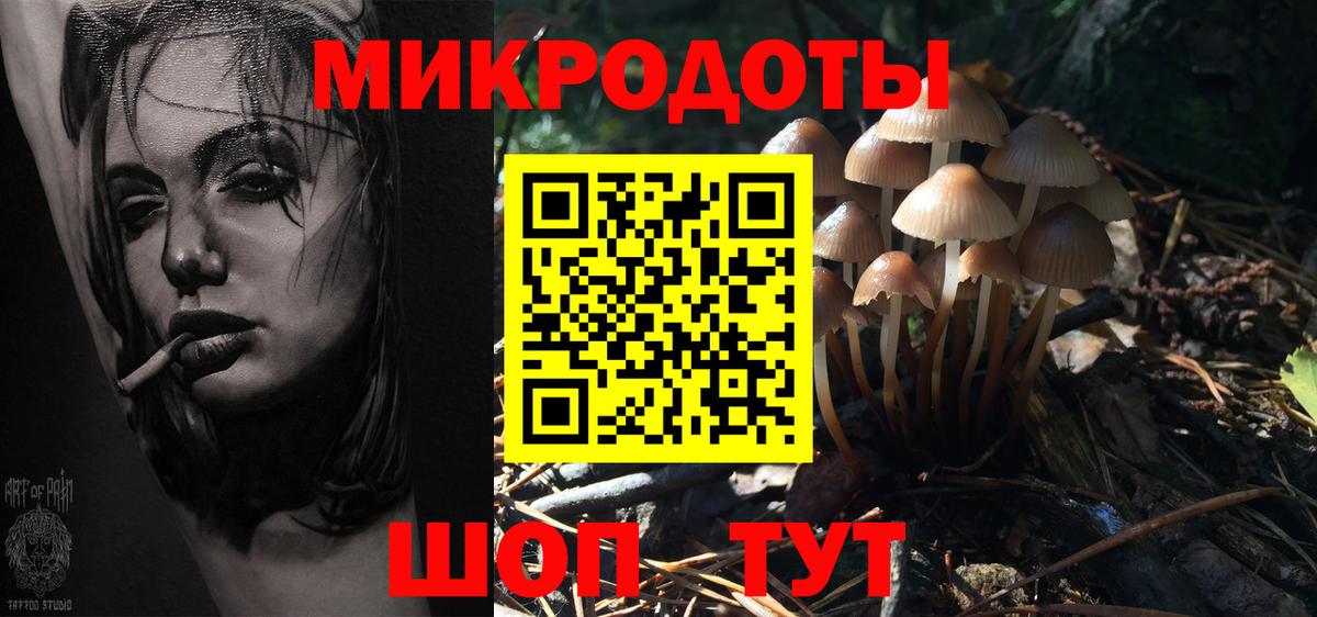 Нерюнгри  Псилоцибиновые грибы мухоморы  Вход с VPN 